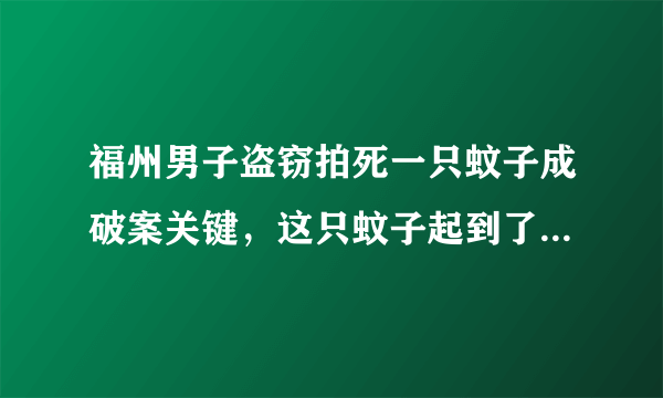 福州男子盗窃拍死一只蚊子成破案关键，这只蚊子起到了怎样的作用？