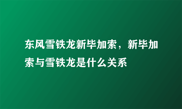 东风雪铁龙新毕加索，新毕加索与雪铁龙是什么关系