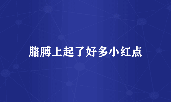 胳膊上起了好多小红点