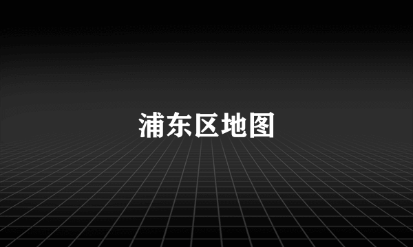 浦东区地图