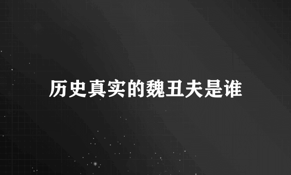 历史真实的魏丑夫是谁
