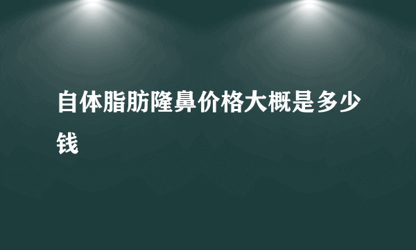 自体脂肪隆鼻价格大概是多少钱