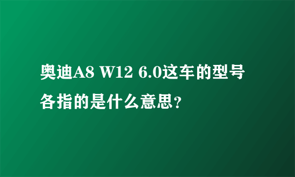 奥迪A8 W12 6.0这车的型号各指的是什么意思？