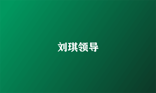 刘琪领导