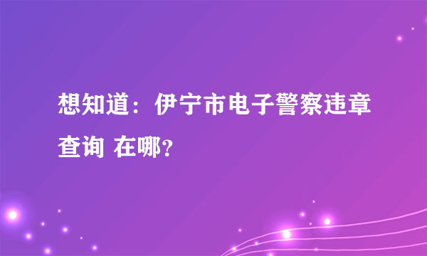 想知道：伊宁市电子警察违章查询 在哪？