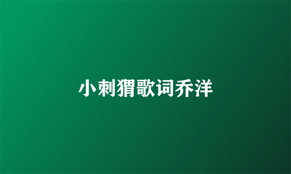 小刺猬歌词乔洋