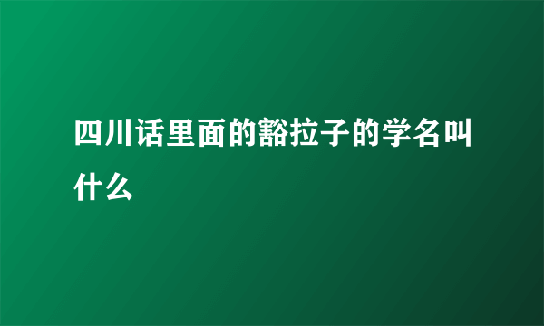 四川话里面的豁拉子的学名叫什么