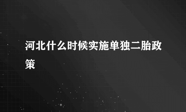 河北什么时候实施单独二胎政策