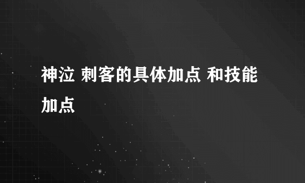 神泣 刺客的具体加点 和技能加点