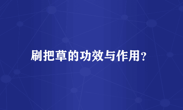 刷把草的功效与作用？