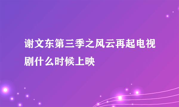 谢文东第三季之风云再起电视剧什么时候上映