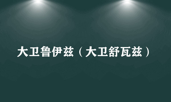 大卫鲁伊兹（大卫舒瓦兹）