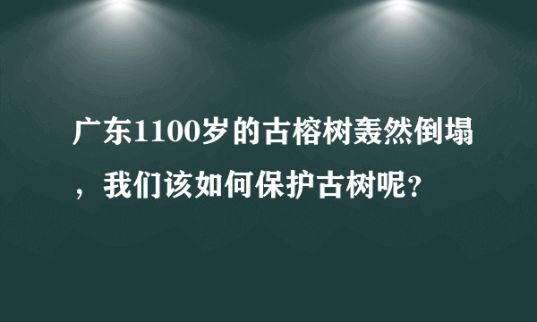 广东1100岁的古榕树轰然倒塌，我们该如何保护古树呢？