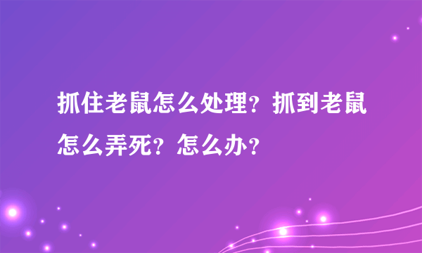 抓住老鼠怎么处理？抓到老鼠怎么弄死？怎么办？