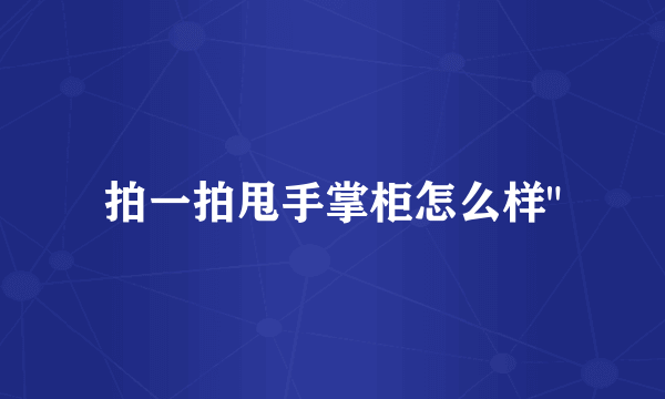 拍一拍甩手掌柜怎么样