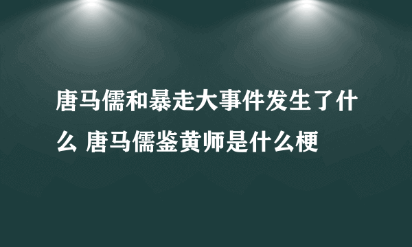 唐马儒和暴走大事件发生了什么 唐马儒鉴黄师是什么梗