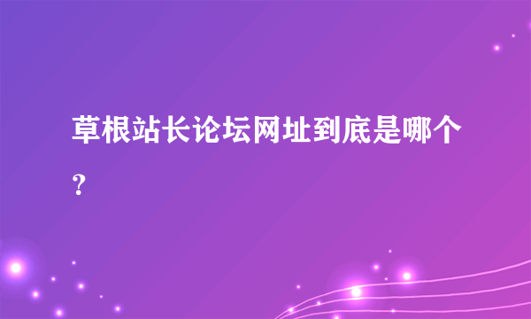 草根站长论坛网址到底是哪个？