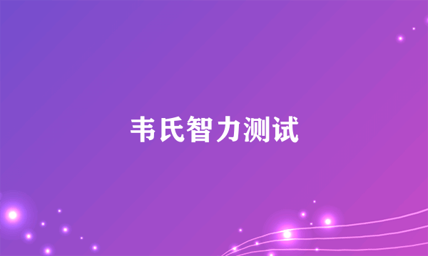 韦氏智力测试