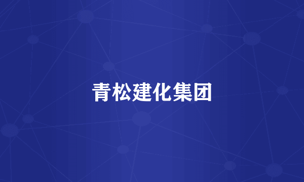 青松建化集团