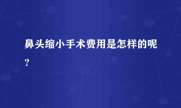 鼻头缩小手术费用是怎样的呢？