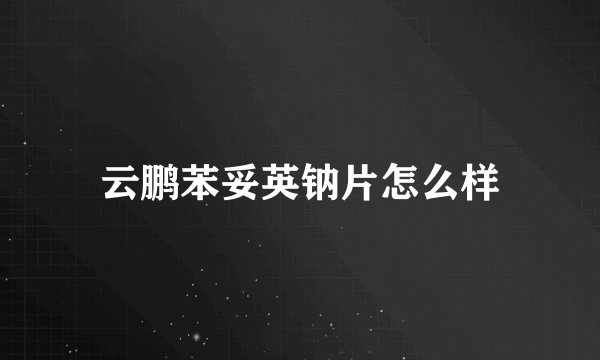 云鹏苯妥英钠片怎么样