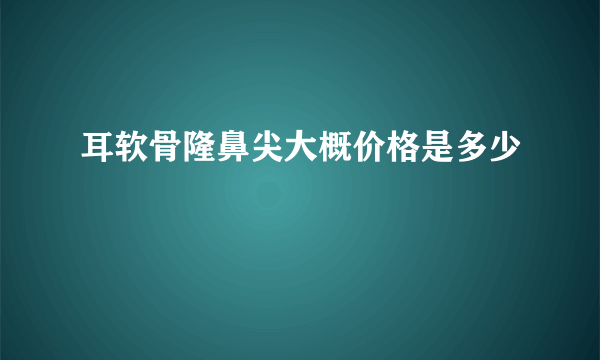 耳软骨隆鼻尖大概价格是多少