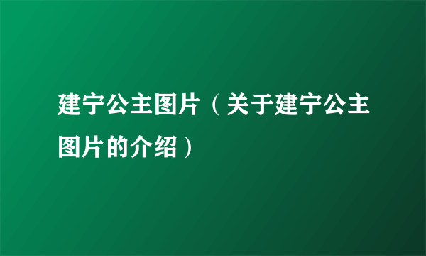 建宁公主图片（关于建宁公主图片的介绍）