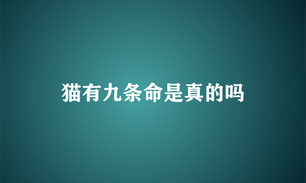 猫有九条命是真的吗
