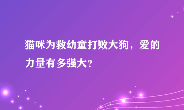 猫咪为救幼童打败大狗，爱的力量有多强大？