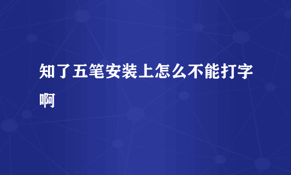 知了五笔安装上怎么不能打字啊