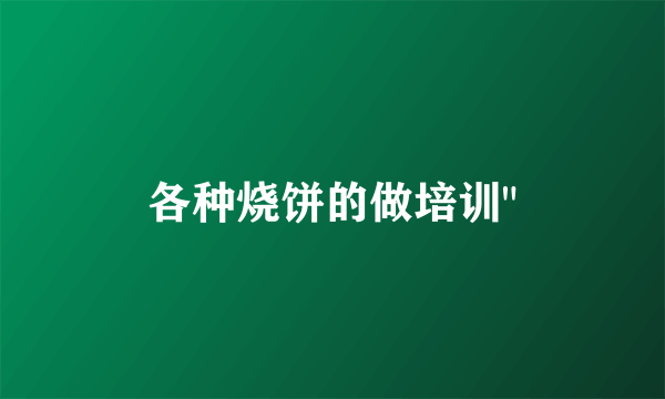 各种烧饼的做培训