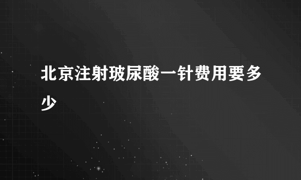 北京注射玻尿酸一针费用要多少