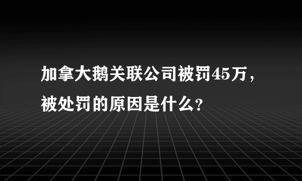 加拿大鹅关联公司被罚45万，被处罚的原因是什么？