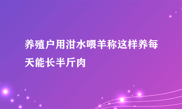 养殖户用泔水喂羊称这样养每天能长半斤肉