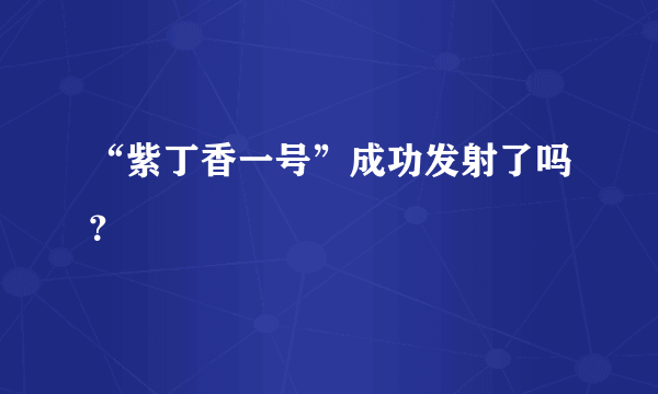 “紫丁香一号”成功发射了吗？