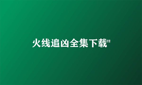 火线追凶全集下载