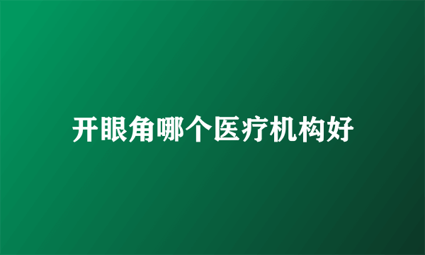 开眼角哪个医疗机构好