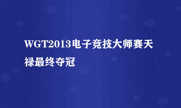 WGT2013电子竞技大师赛天禄最终夺冠