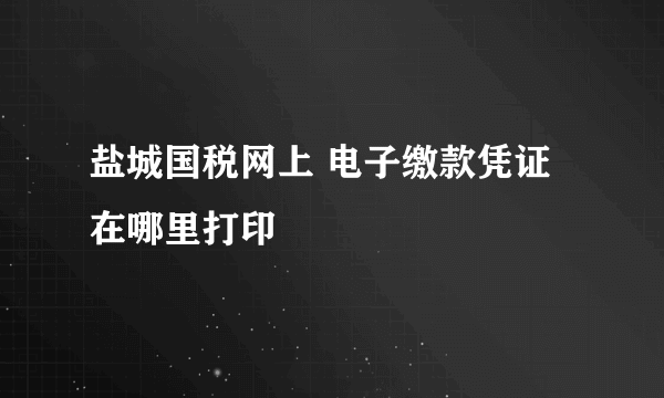 盐城国税网上 电子缴款凭证 在哪里打印