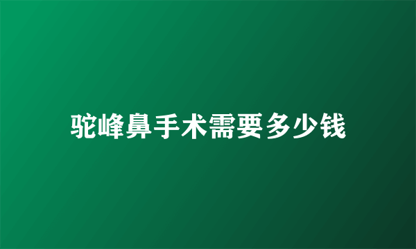 驼峰鼻手术需要多少钱