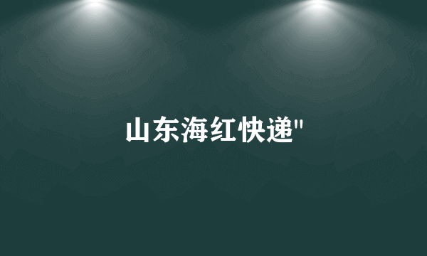 山东海红快递