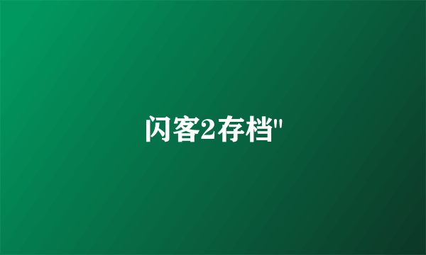 闪客2存档