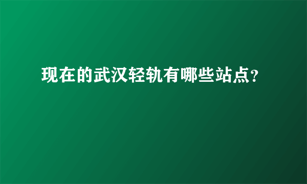 现在的武汉轻轨有哪些站点？
