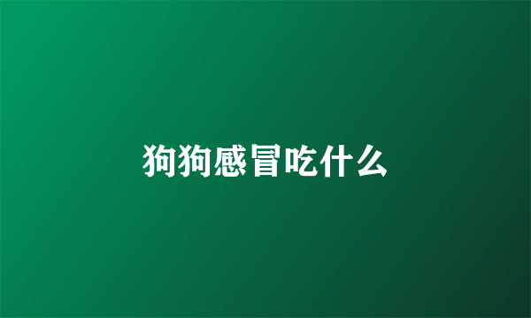 狗狗感冒吃什么