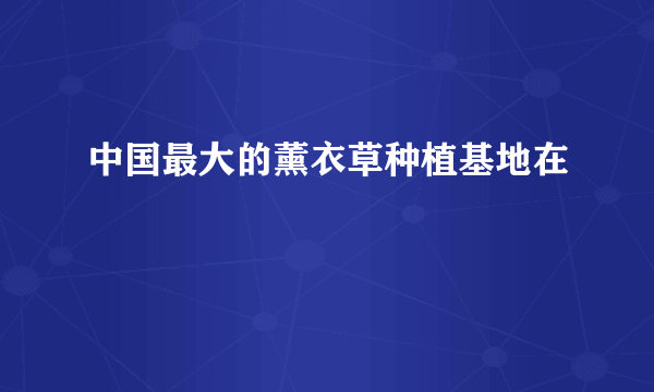 中国最大的薰衣草种植基地在