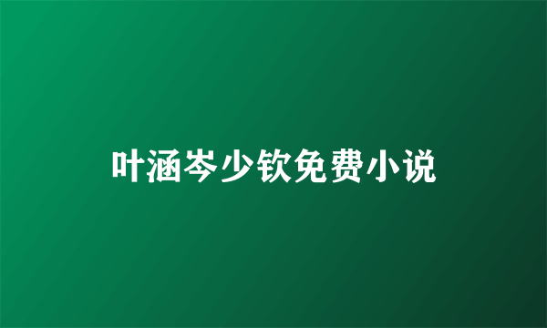 叶涵岑少钦免费小说