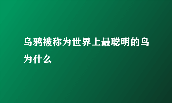 乌鸦被称为世界上最聪明的鸟为什么