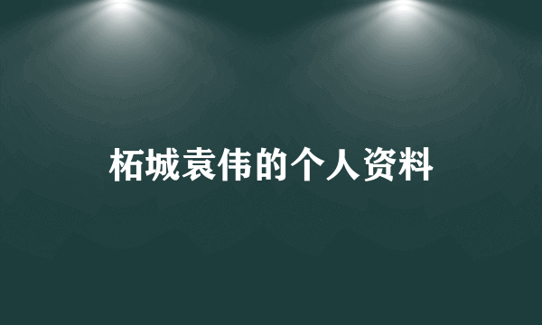 柘城袁伟的个人资料