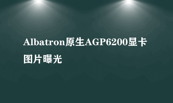 Albatron原生AGP6200显卡图片曝光