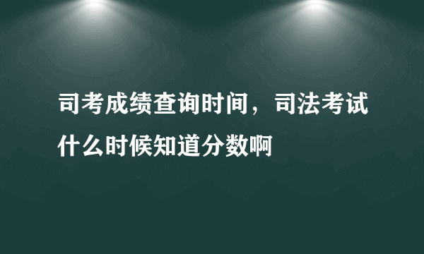 司考成绩查询时间，司法考试什么时候知道分数啊